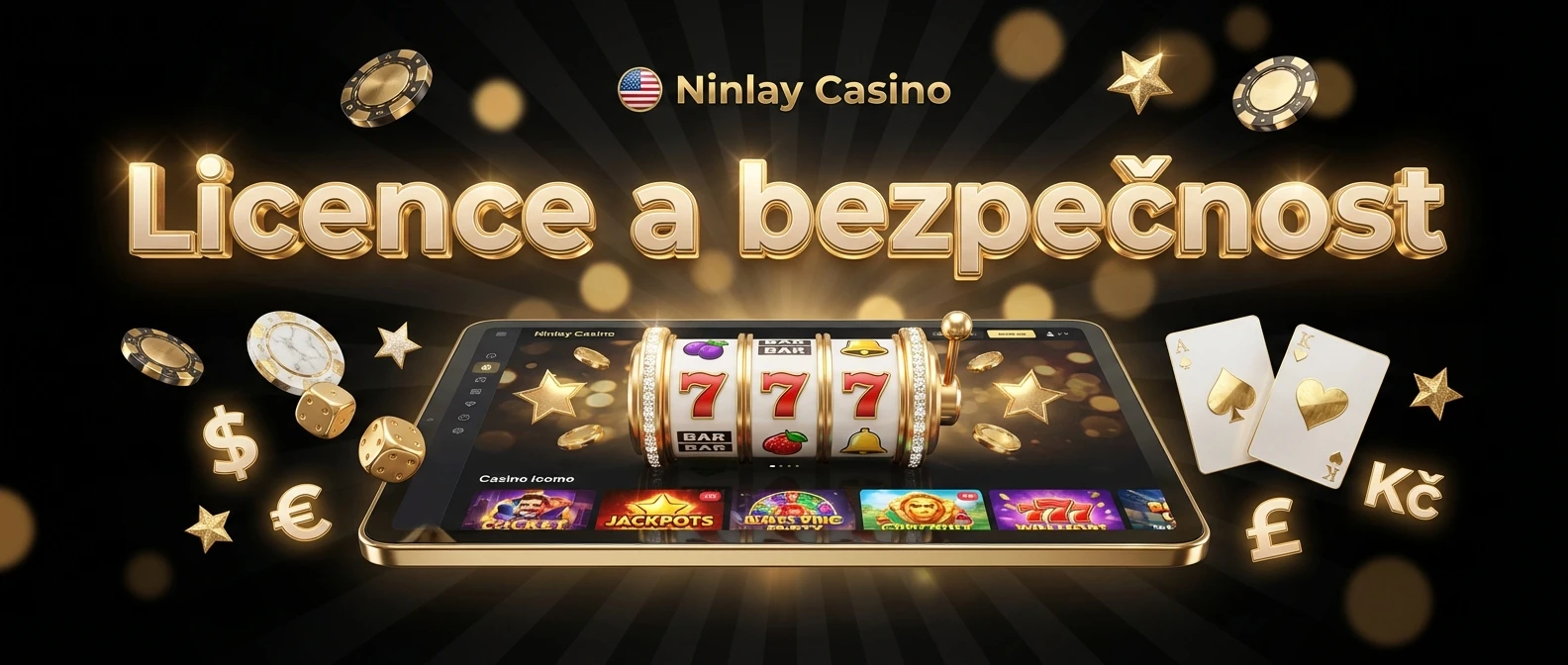 Licence a bezpečnost